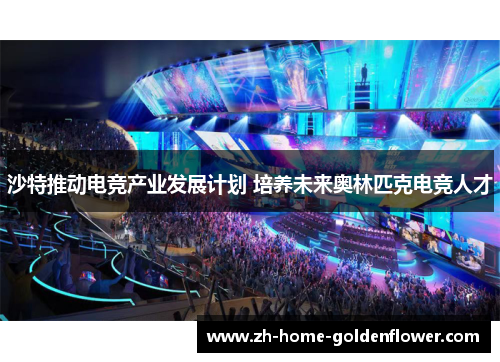 沙特推动电竞产业发展计划 培养未来奥林匹克电竞人才 沙特推动电竞产业发展计划 培养未来奥林匹克电竞人才