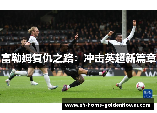 富勒姆复仇之路:冲击英超新篇章 富勒姆复仇之路:冲击英超新篇章