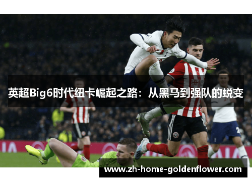 英超Big6时代纽卡崛起之路:从黑马到强队的蜕变 英超Big6时代纽卡崛起之路:从黑马到强队的蜕变